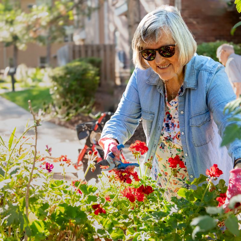 Someren Glen Senior Living Community in Centennial, CO - older woman pruning garden bed square