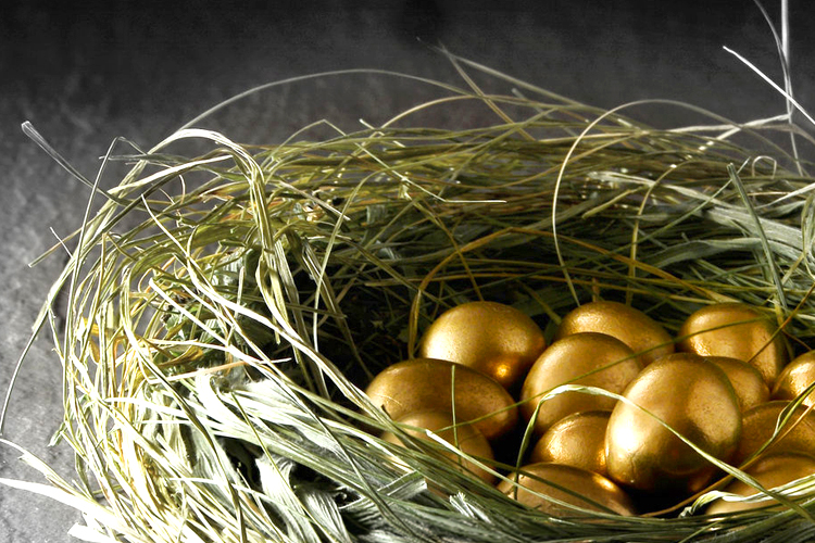 someren glen gold eggs in nest Someren Glen Senior Living Community in Centennial, CO - someren glen gold eggs in nest